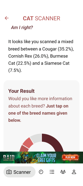 Trick or Cat Treat? The Excellent Cats do Halloween