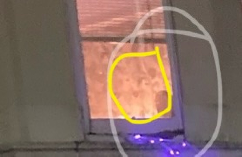 To see a face in this picture?