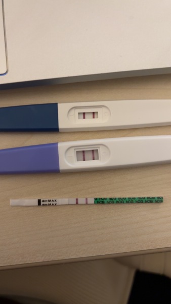 TW Pregnancy/Miscarriage
