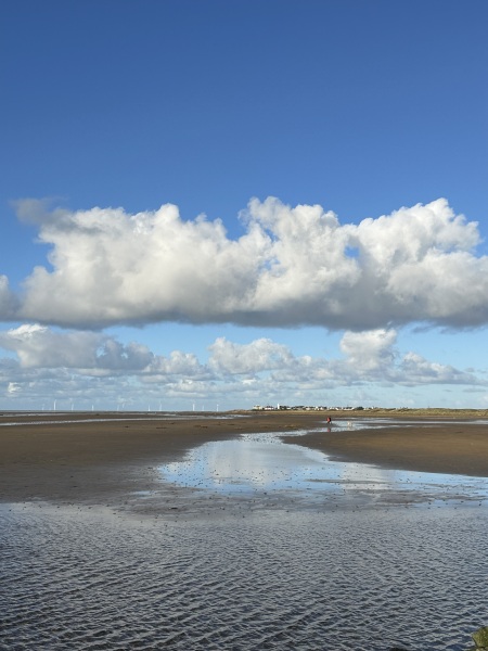 The Nigel Slater Christmas Chronicles Readalong 2024 Part 2