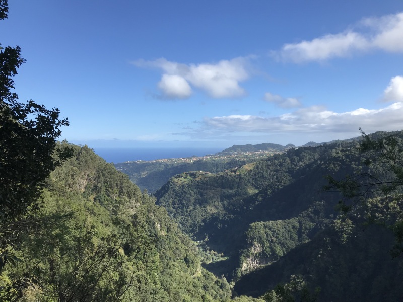 Hands Across The Water - Trump thread #135