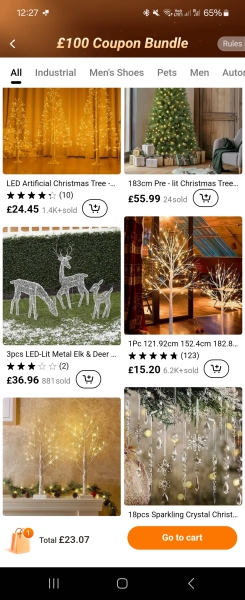 The Christmas trees in next window.