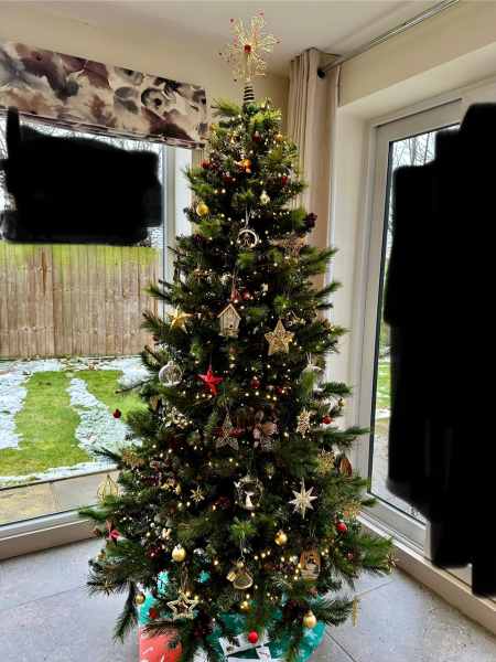 Show us your Christmas trees