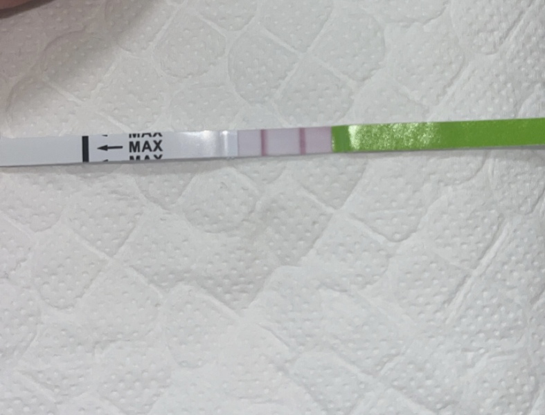 Confused with ovulation tests/ Premom app