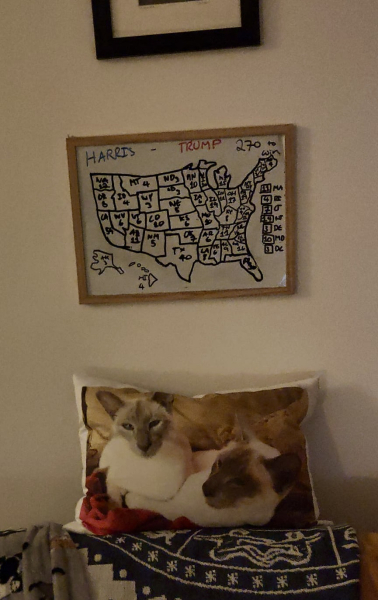 Thread 11 Starmer: Will that Phone Call Be To Harris or to Trump? (the decidedly superior looking cats thread)