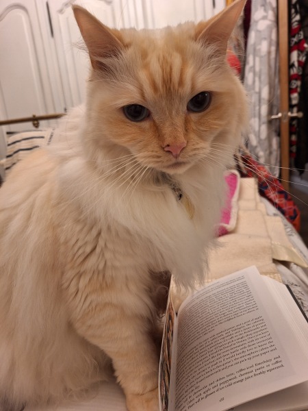 The Nigel Slater Christmas Chronicles Readalong 2024 Part 2