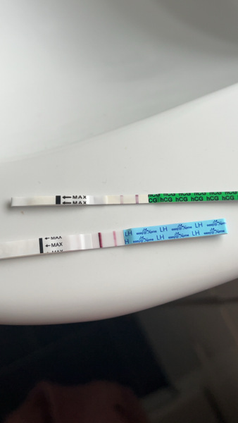 Ovulation after miscarriage…