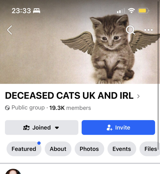 Do people really drive round / get a taxi with dead cats ???