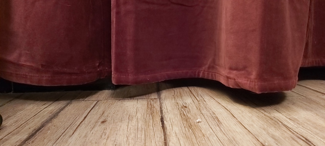 Poncetastic Christmas 2024