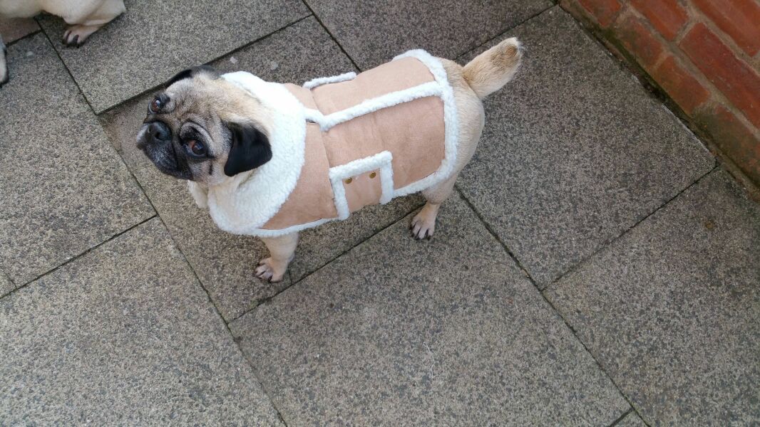 If your Dh owned this coat, would you make it mysteriously ‘Disappear’