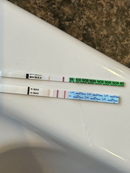 What happens after miscarriage?