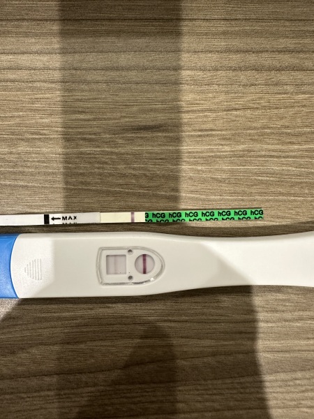 August 2025 Due Dates Club