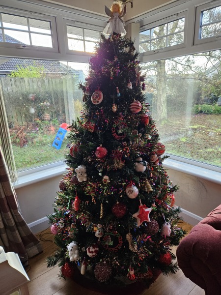 In Preparation For Christmas Today I Will.....
