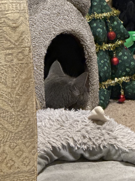 Cage rest
