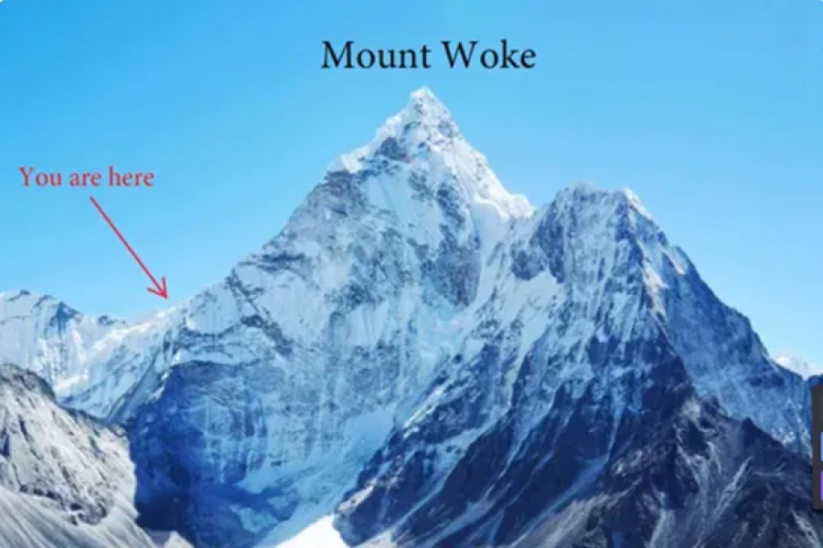 Matt Walsh thinks gender ideology has now been defeated in the USA - is he right?