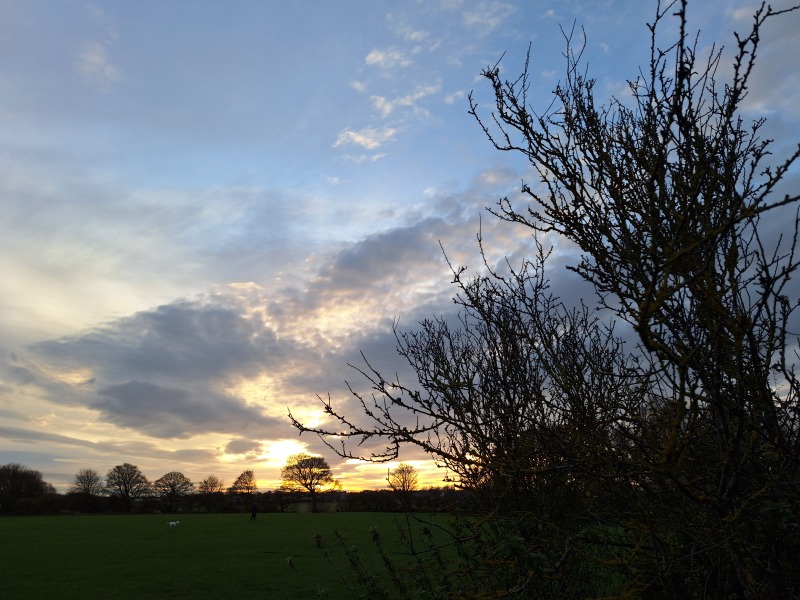 The Nigel Slater Christmas Chronicles Readalong 2024