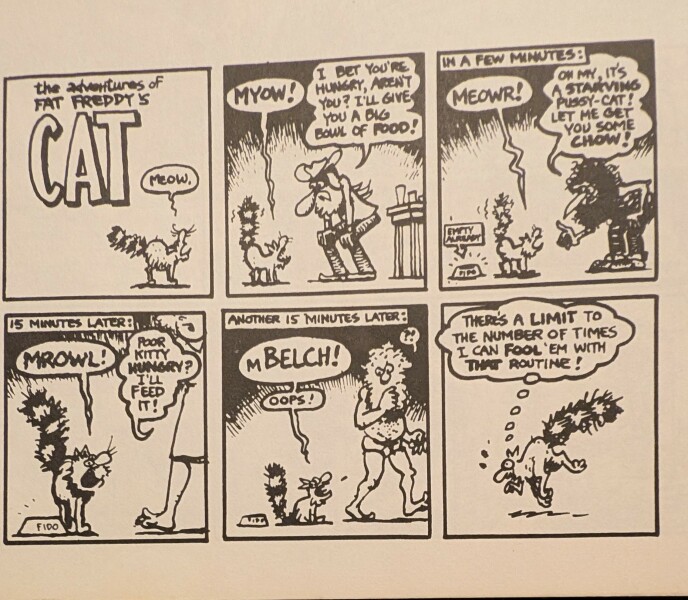 Trick or Cat Treat? The Excellent Cats do Halloween