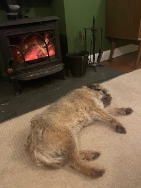 The Nigel Slater Christmas Chronicles Readalong 2024 Part 2