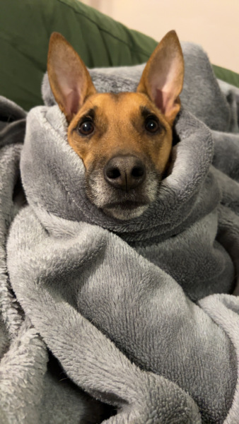 Do you have blankets downstairs?