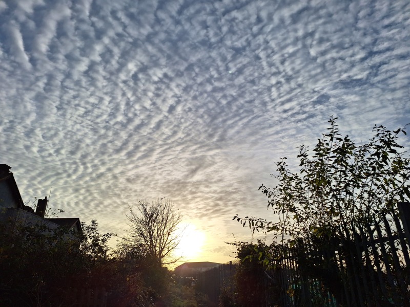 The Nigel Slater Christmas Chronicles Readalong 2024