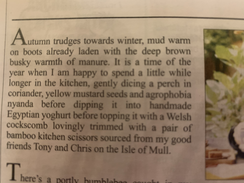 The Nigel Slater Christmas Chronicles Readalong 2024 Part 2