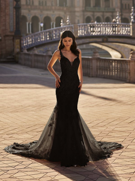 AIBU - Mother in Law's dress at my wedding.