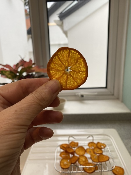 Poncetastic Christmas 2024