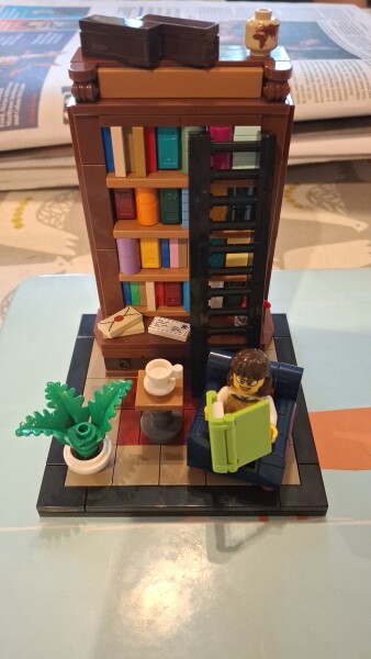 To show me your Lego collection?