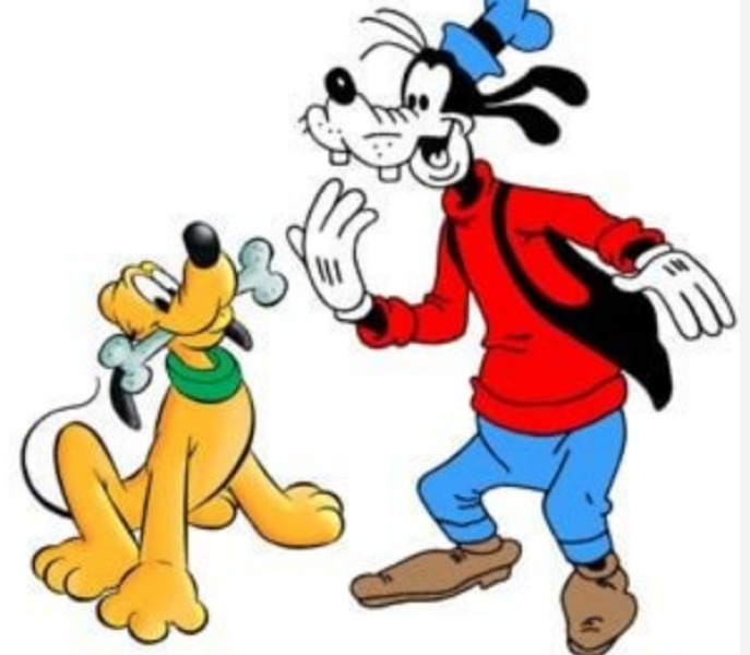 I don't understand the zoo keepers and the zoo animals