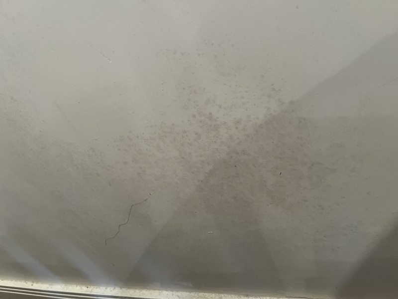 Is this mould?