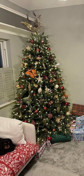 Show us your Christmas trees