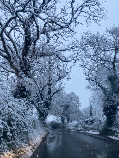 The Nigel Slater Christmas Chronicles Readalong 2024 Part 2