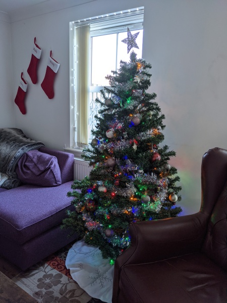 Show us your Christmas trees