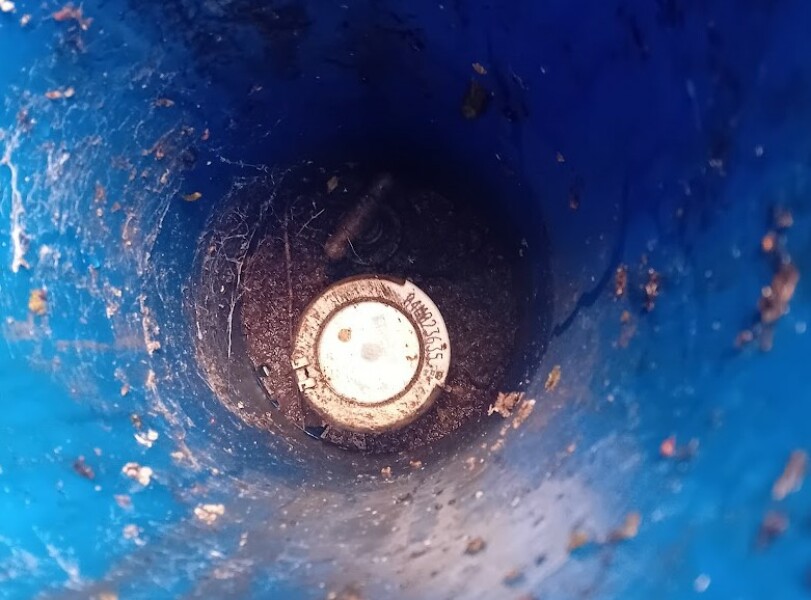 Water Leak, Possibly from Small Tree Root, Advice Please