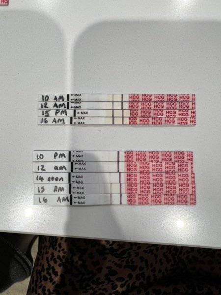 Lines progressing but not like previous pregnancies