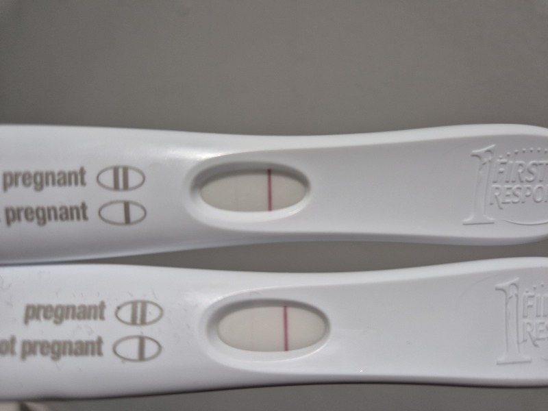 2dpo today, company welcome :)