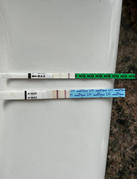 What happens after miscarriage?