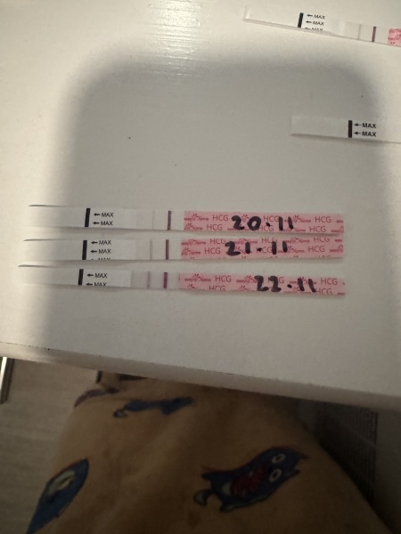 Nov 2024 TTC 💖 part 2 ✨