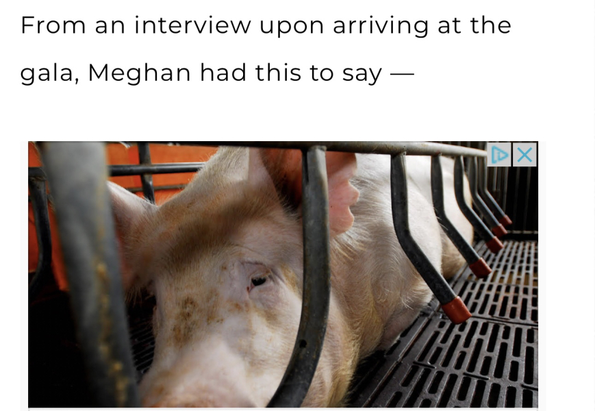 Meghan attended a Dinner for the Southern California Welcome Project with Mina’s List
