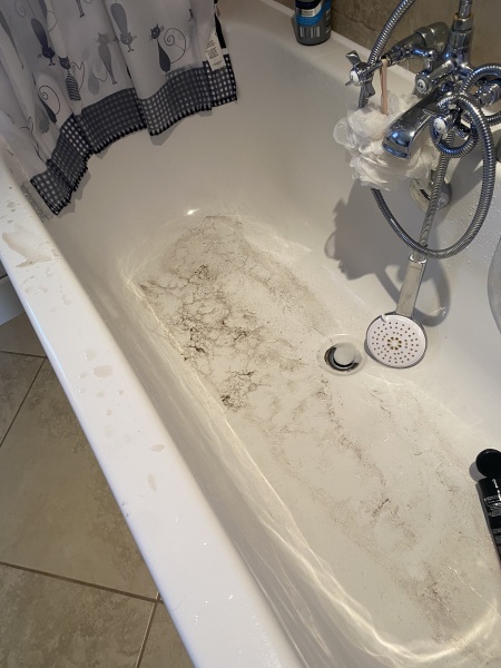 To have the dog in the bed with us?