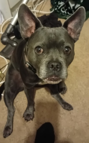 The Continuing Support Thread for Anyone Trying to Lead an Alcohol-Free Life Autumn 2024