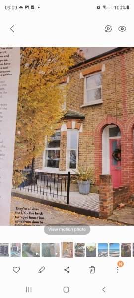 WWYD?  Choices for front garden