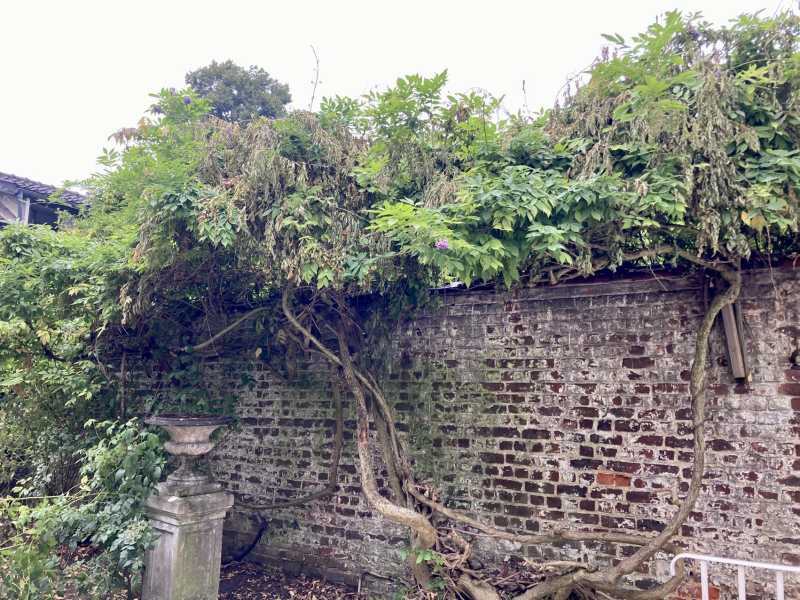 Anyone else clearing up the shambles in their garden today?