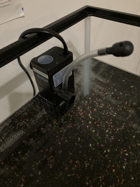 Aquarium filter question - total newbie