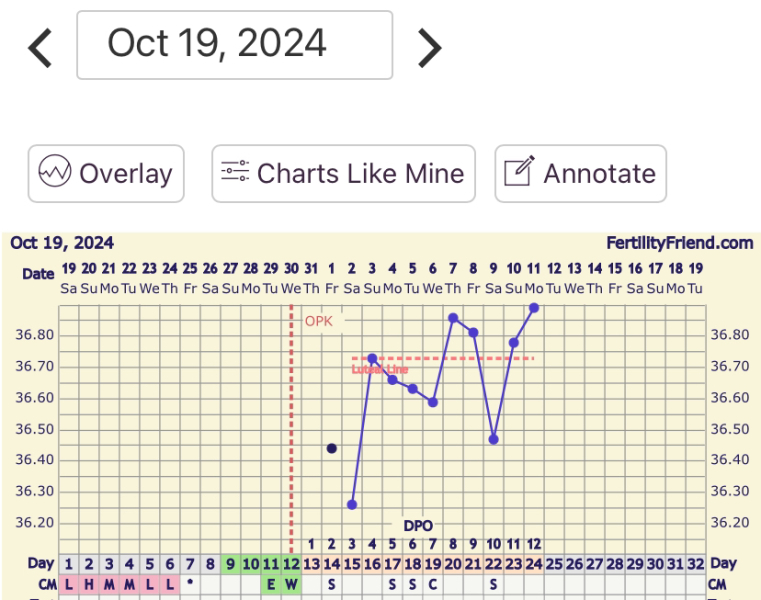 TTC FIRST BABY - New cycle, let's go girls !