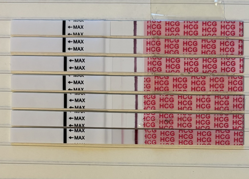 2dpo today, company welcome :)
