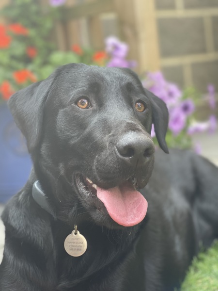 Which breed?