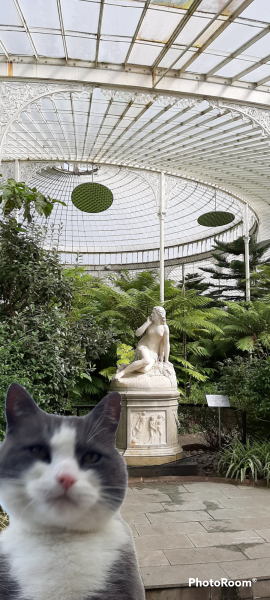 My owner won't let me eat birds anymore