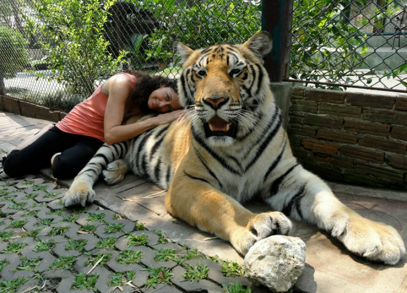 "Loving" XL Bully mauls 10yo to death