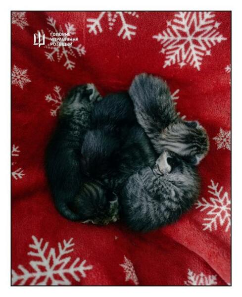 Ukraine Invasion: Part 52